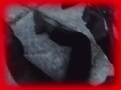 this post was fact checked by real duty patriots