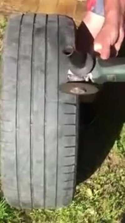 Good for 2 more years