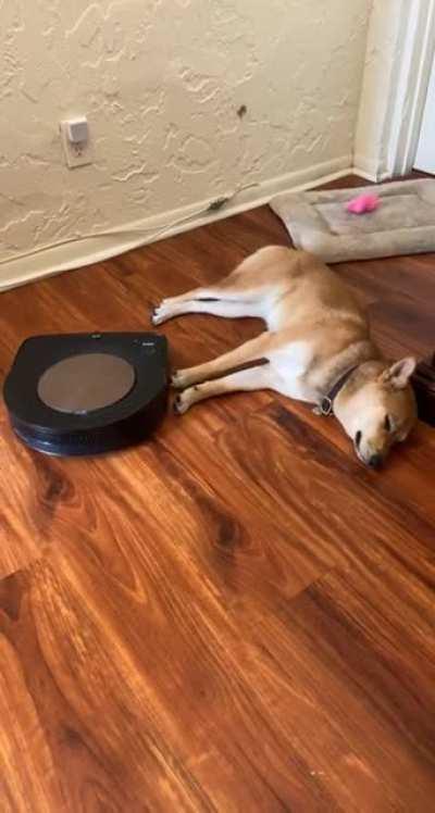 So chill and so cool