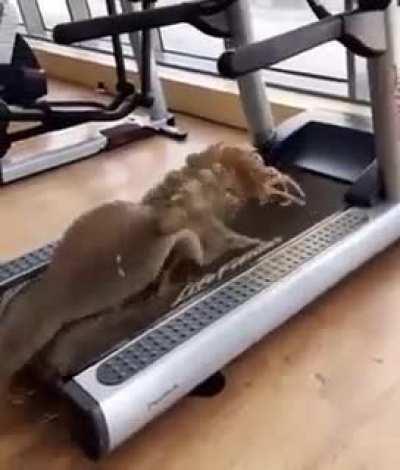 what the f*ck is this thing?!!!