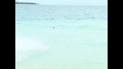 Max during his Summer Break