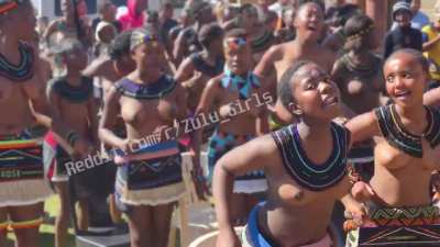 Ndebele maidens