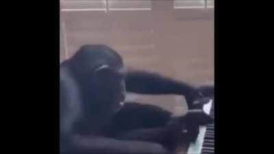 Oh shit libcenter has transcended authority and government have been abolished