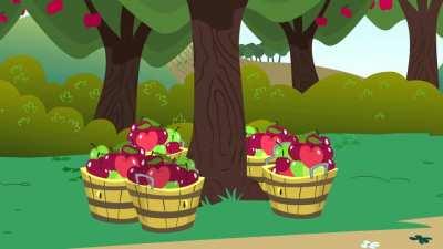 apples