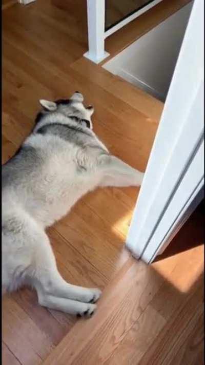 The song of his people