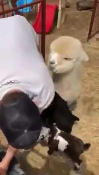 Okay, line up. Everyone gets a hug.