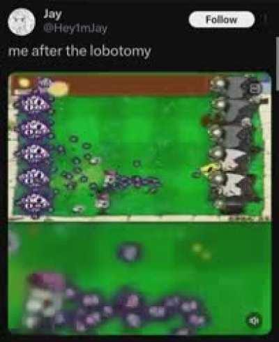 I'm going insane rule