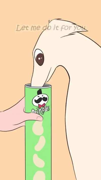 Let me do it for you