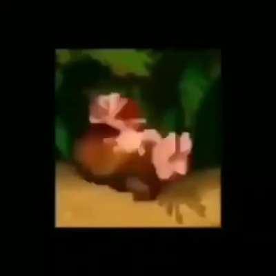 Chill bro, donkey roll time