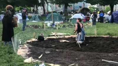 Man conquers CHAZ autonomous zone garden