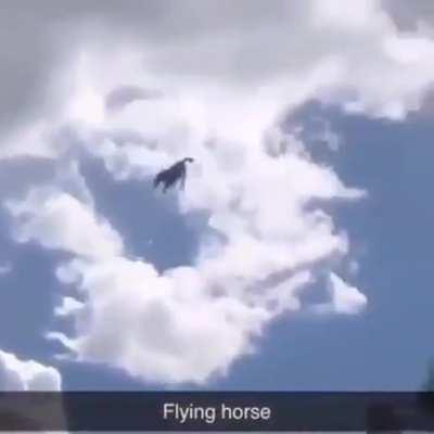 joder caballo volador