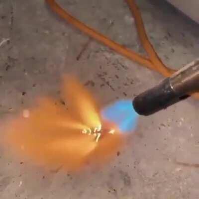 No seas tímido pequeñin