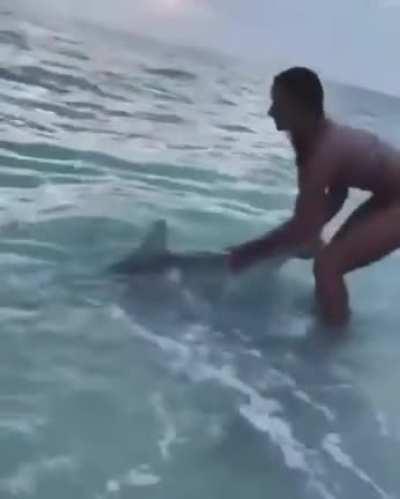 Just a woman saving a shark.