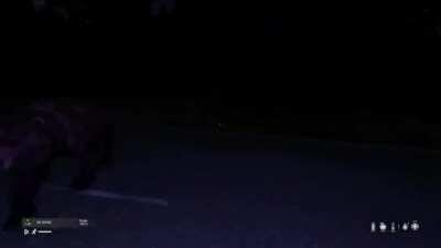 First time seeing a bear. Wondered why I heard a “zombie” growling so aggressively. Survived though!