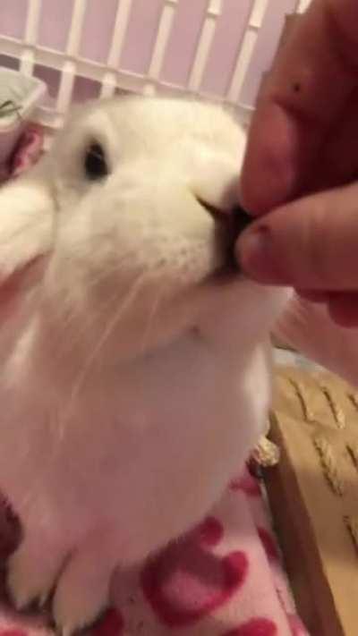 Ferocious Beast DEVOURS Prey Whole (*NOT CLICKBAIT*)