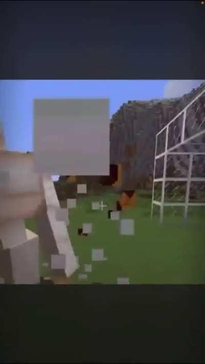 minecraft included with racism