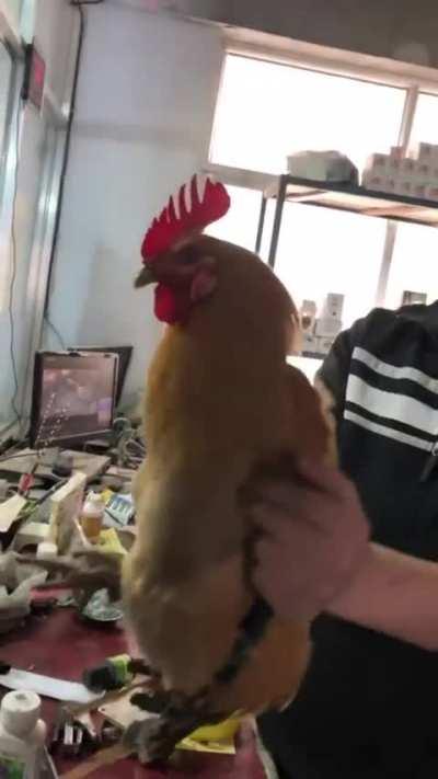 This is how gimbal works