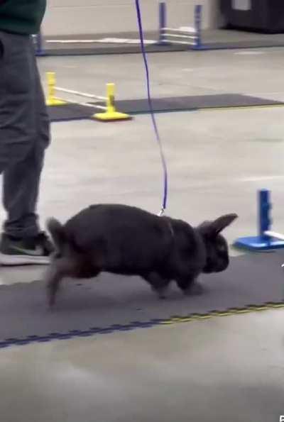 Not My Bun But Super Cute!