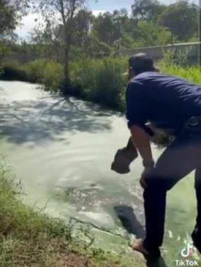 Яйца из титана