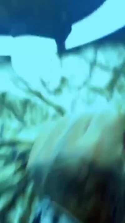 How is a tiktok gonna be better than her OF content