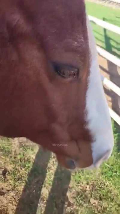 bring back the industrial revolution flair 