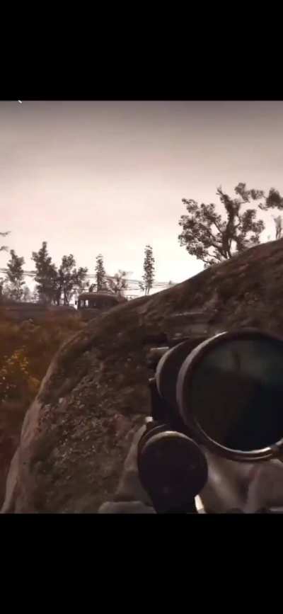 No bugs, just anomalies!