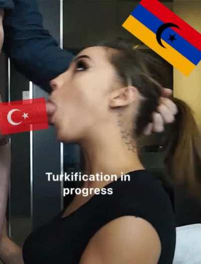 The Reason Why Armenians Come to Turkey Is Their Brainwashing and Turkish Influence 🇹🇷🤝🇦🇿