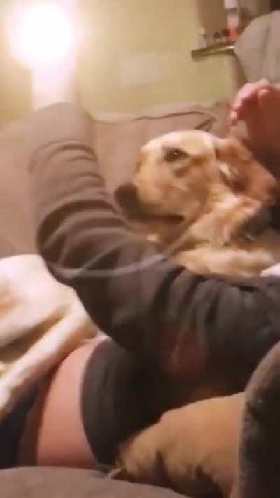 Why are we here? Just to suffer?