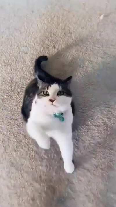 Life of a serial hugger