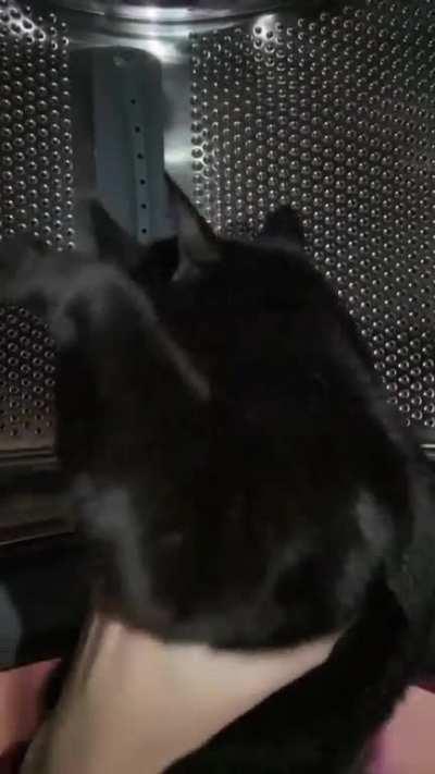 Another successful SpaceX Mission