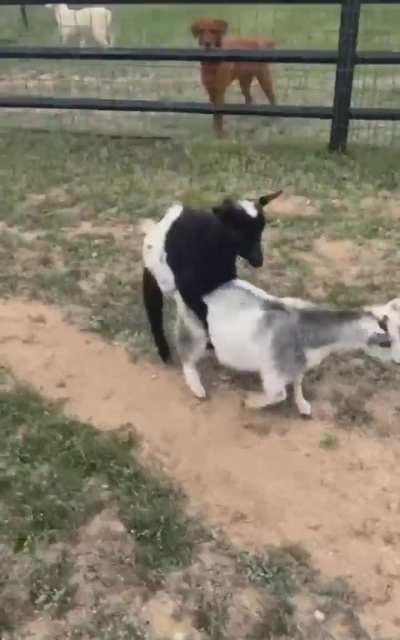 Her baby is crying for help