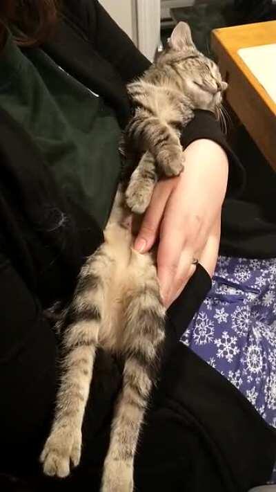 1 count felony dream dancing