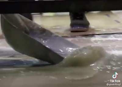 Los panas terminando el no nut november