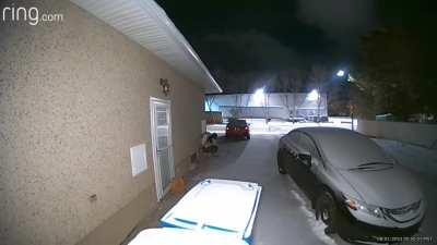 Delivery driver marks her territory 