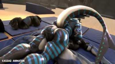 Sexercise [MF] (Kasdaq)