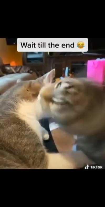 Cheating Consequences