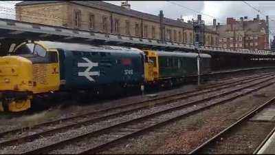 Teenage girls screaming at me and my friends for filming a rare movement. Why are people like this?.?