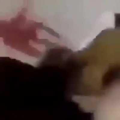 What bizarre act is the canine performing?