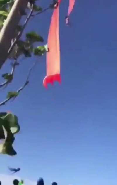 Don’t go near the giant kite