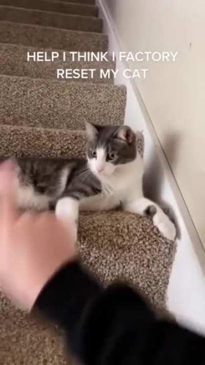 Pressed the wrong button