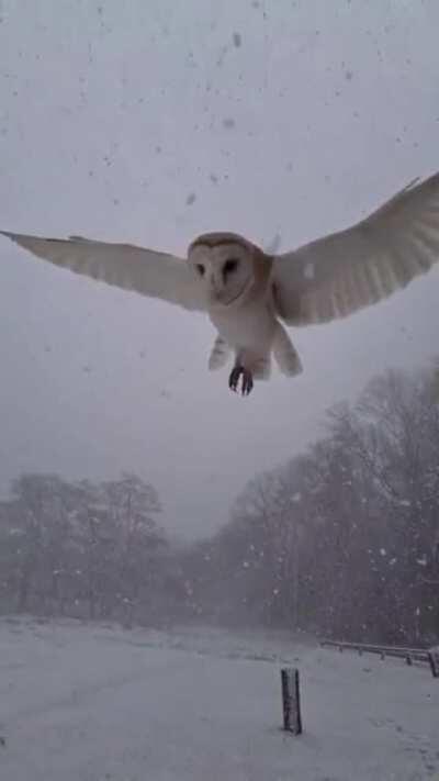 That is incredible!!!