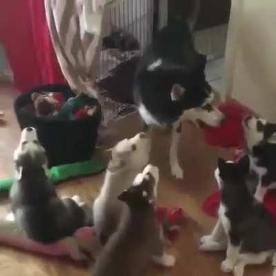 Giving her baby a howling lesson!