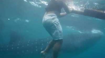 Imagine the first-person view. If only one could scream underwater