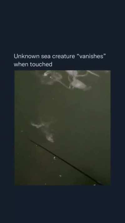 Can someone explain to me what is this?