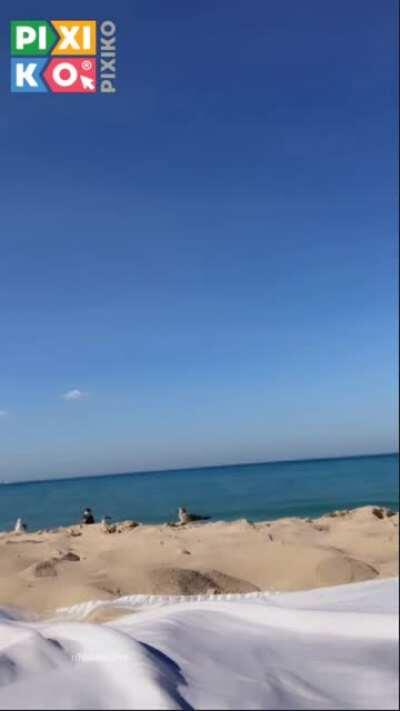 Bikini beach body and booty