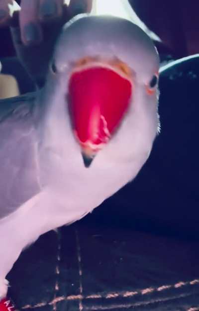 He said “Get AWAY”