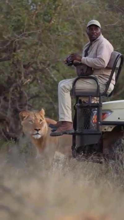 don't mind me, just looking.