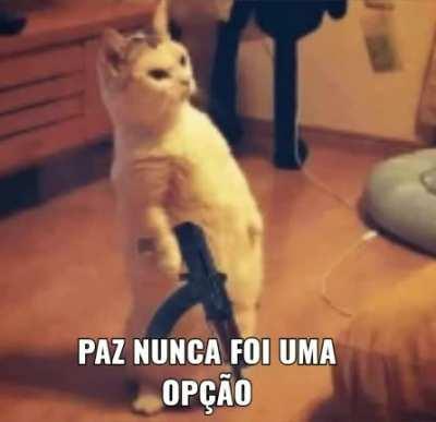 Ta certo meu nobre 💪😾