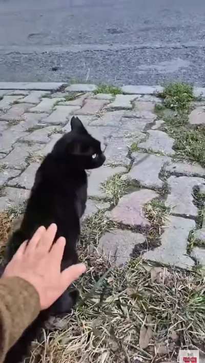 Look at those talons!