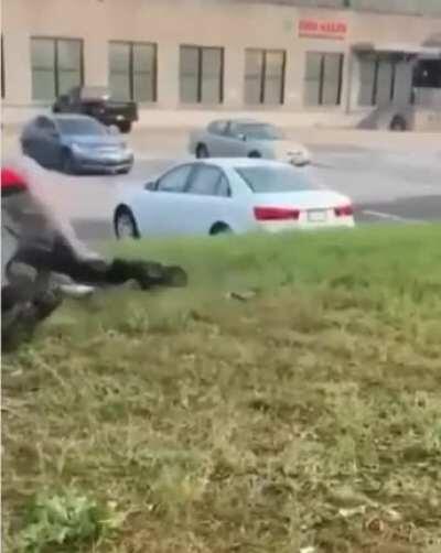 M'goodboy standing up to alpha Chad. A true hero of our people deserving of the m'goodboy medal of tendies.